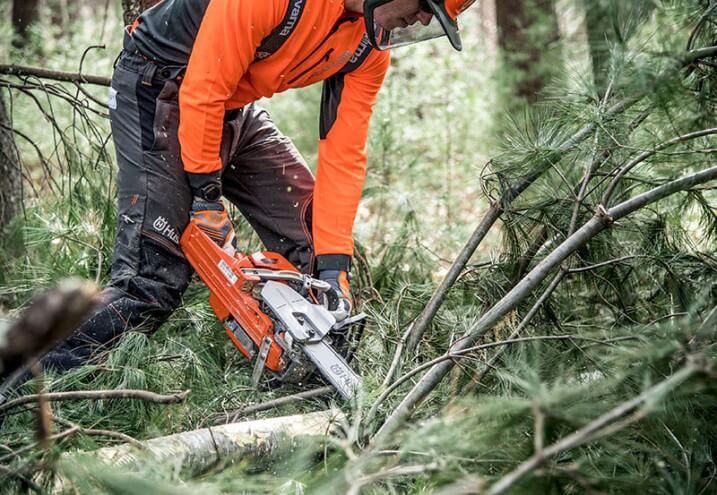 Cutting wet wood using Chainsaw - Toowoomba Outdoor Power Products in Glenvale, QLD