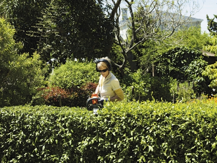 Woman Trimming Hedges