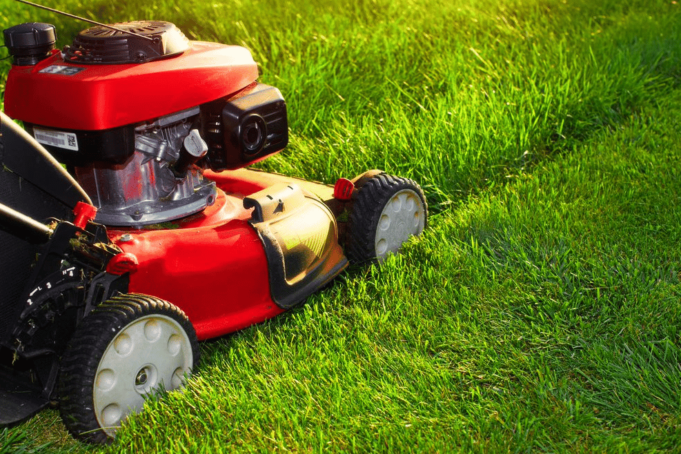 Read more about the article Common Mower Problems Solved