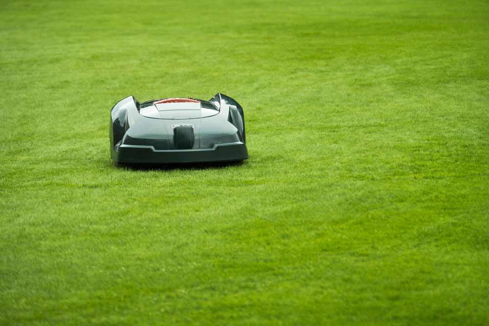 Automatic Lawn Mower In A Garden