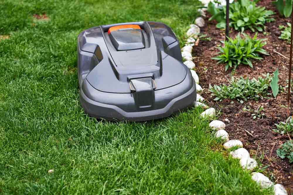 Robot Lawn Mower Mowing Grass In The Garden