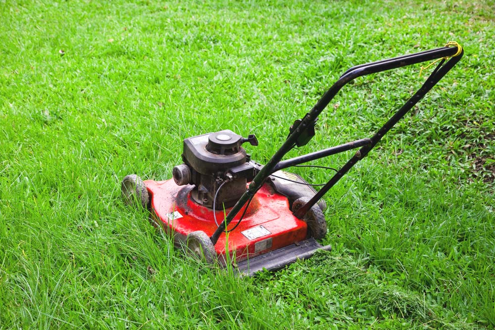 Read more about the article The Importance Of Regular Lawn Mowing