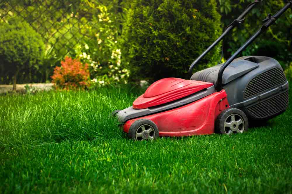 Gardener Mows The Grass With Red Electric Mower