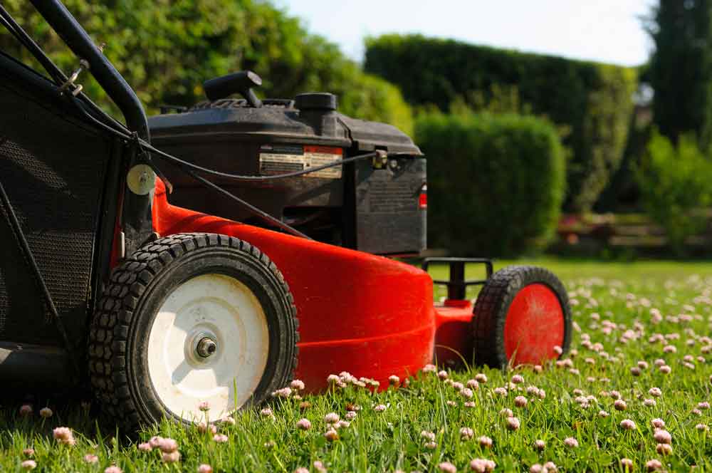 Red Lawn Mower In The Garden