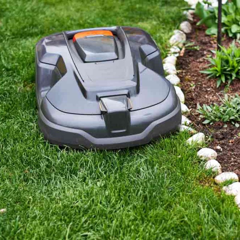 Robot Lawn Mower Mowing Grass In The Garden